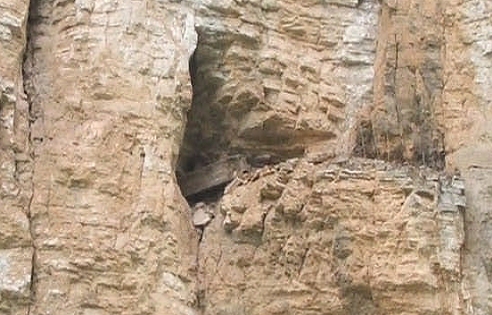 Ba Coffin in Cliff along Shennong River